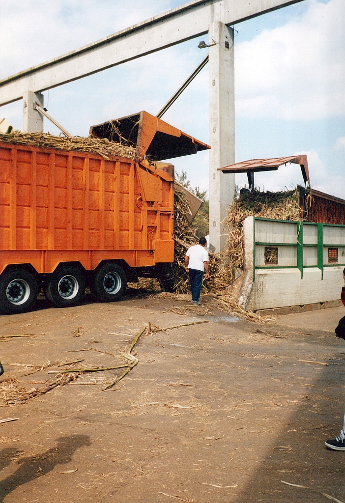 2002 - La Réunion B07 (Cachalots à la sucrerie de Gol - Saint Louis).jpg